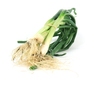 Botte d'oignons frais
