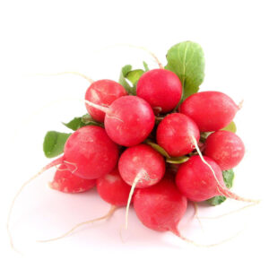 radis ronds