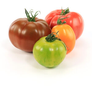 Tomates anciennes