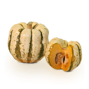 Courge patidou (UPMDT)