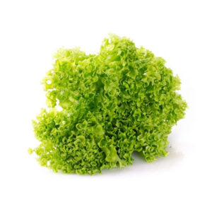 Salade Chicorée frisée (UPMDT)