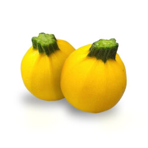 Courgettes rondes Jaunes UPMDT