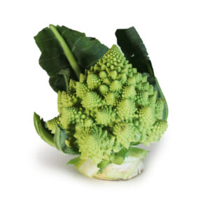 Chou romanesco (UPMDT)